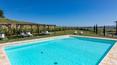Toscana Immobiliare - Un grand jardin d'environ 2 hectares accueille une splendide piscine panoramique avec espace solarium et un patio avec coin barbecue.