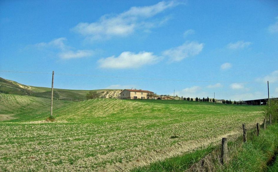 House in Asciano - Image 5