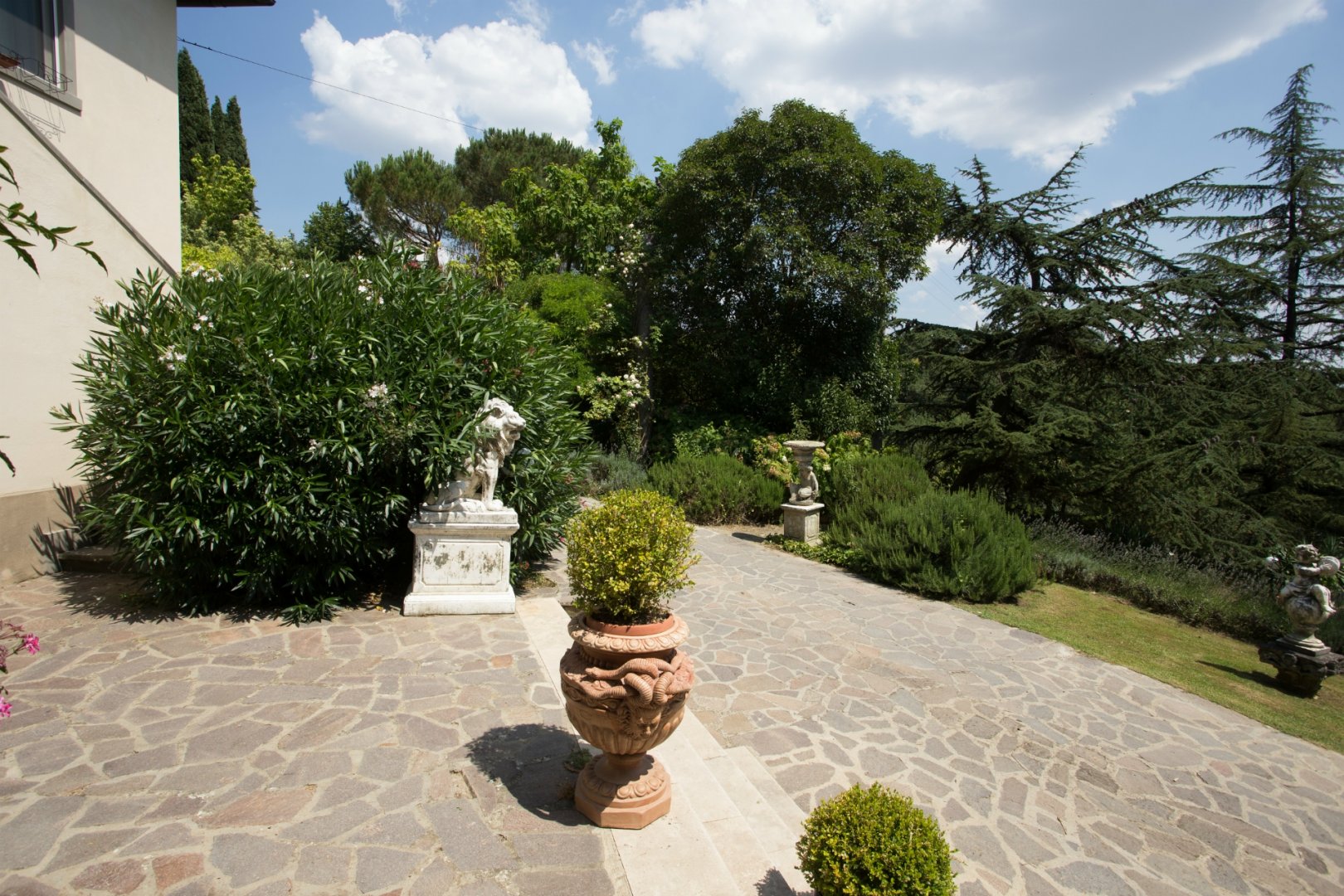 property_image