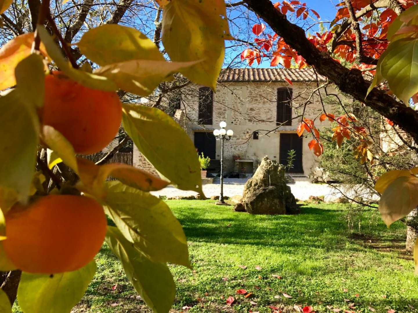 House in Massa Marittima - Image 2