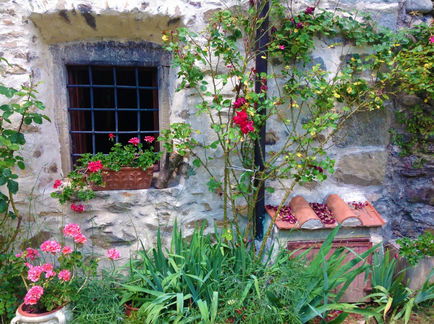 property_image