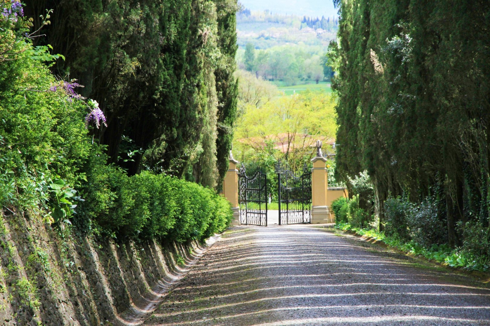 property_image