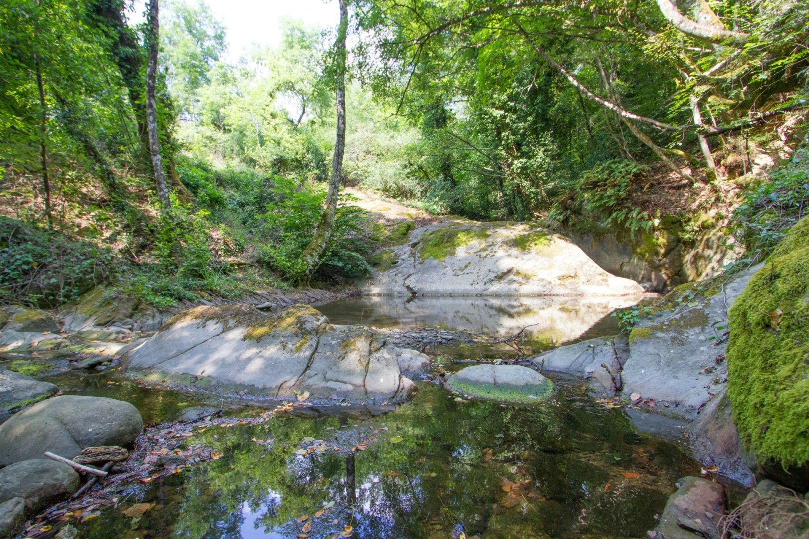House in Cortona - Image 5