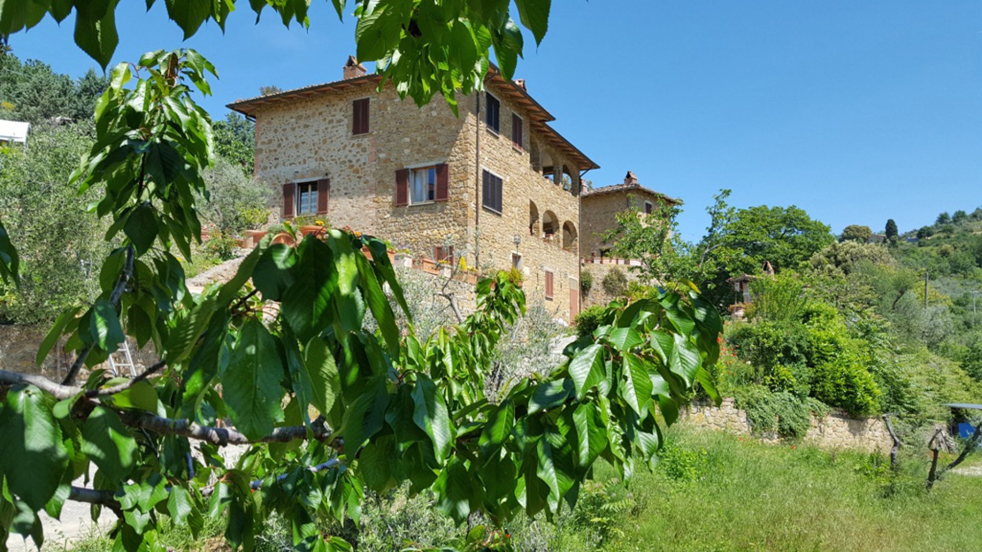 property_image