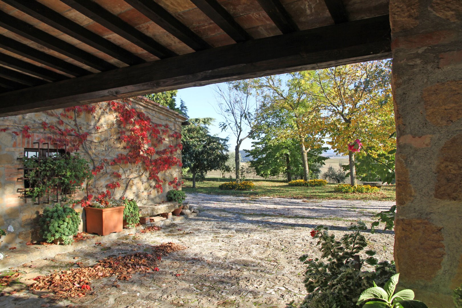 property_image