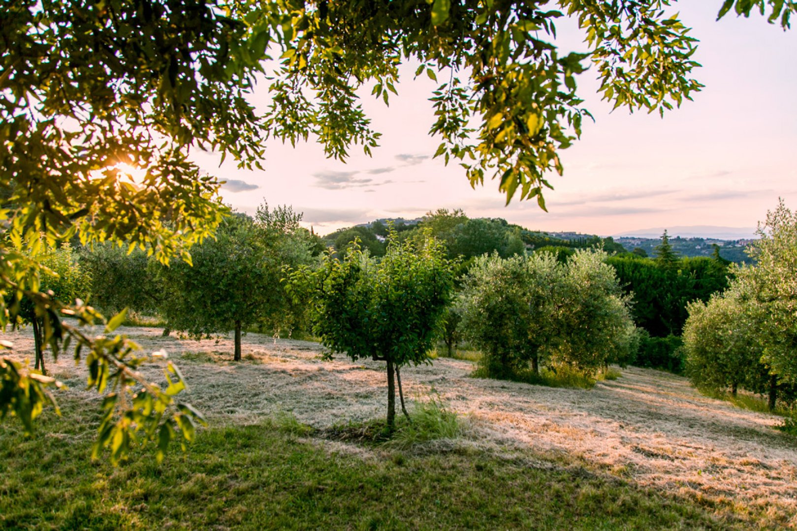 property_image