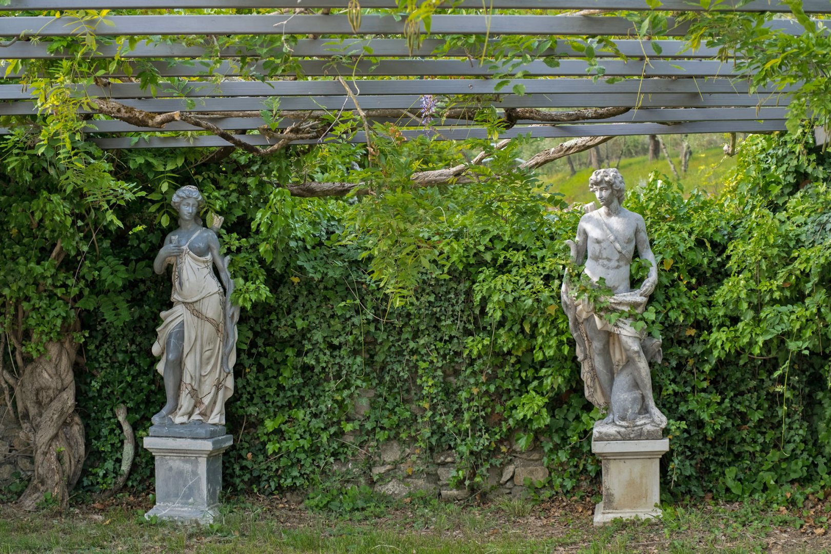 property_image