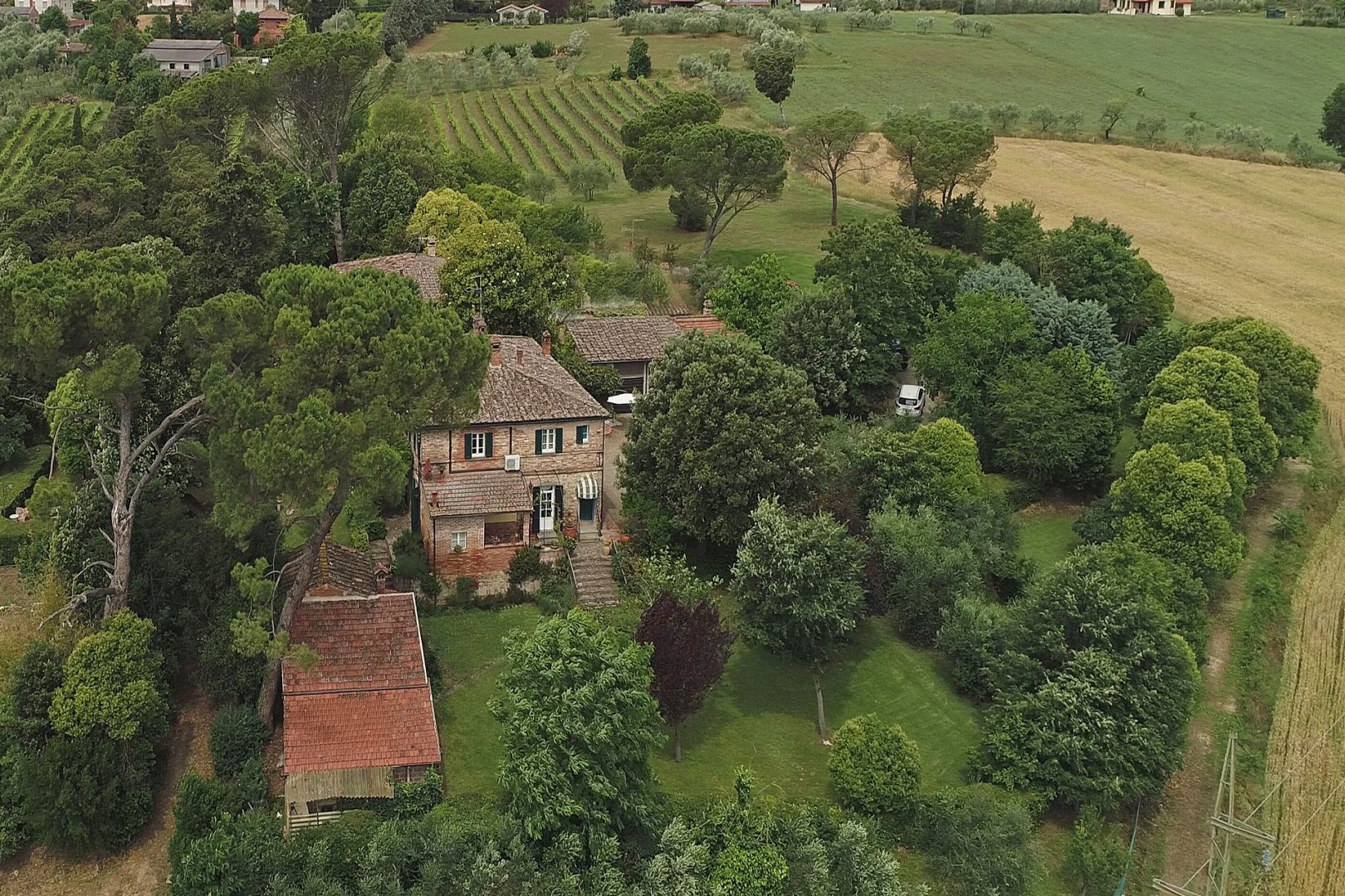 House in Foiano della Chiana - Image 5