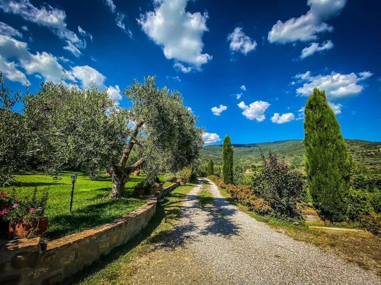 House in Cortona - Image 3