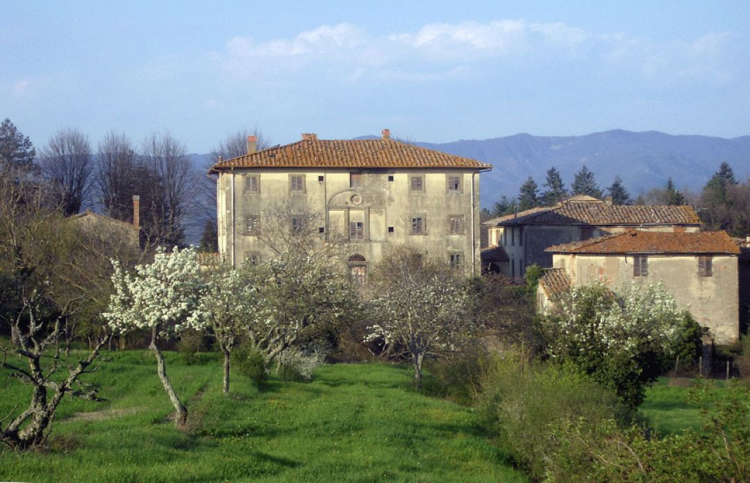 property_image
