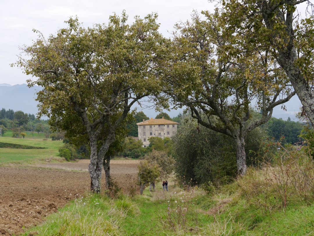 property_image