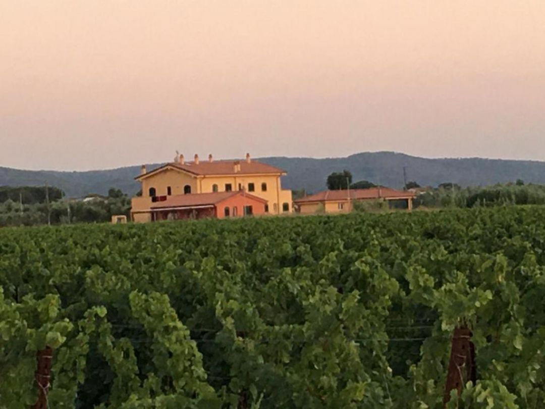 property_image