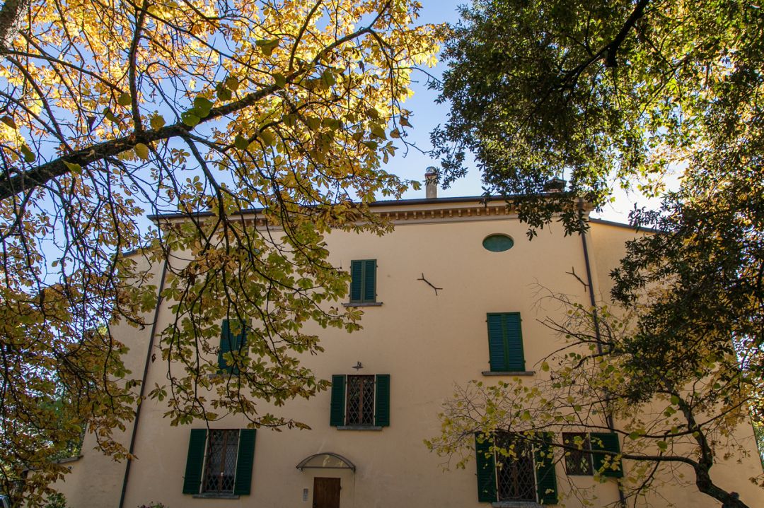 property_image