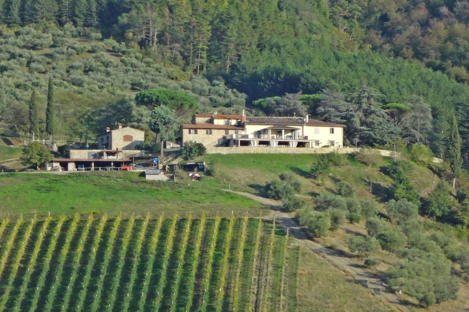 property_image