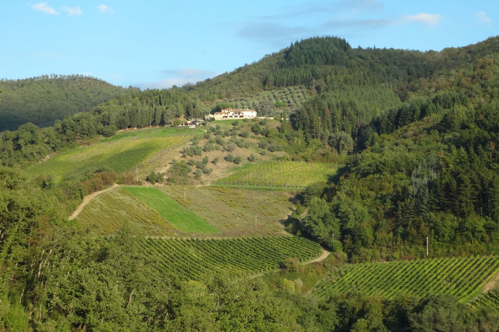 property_image