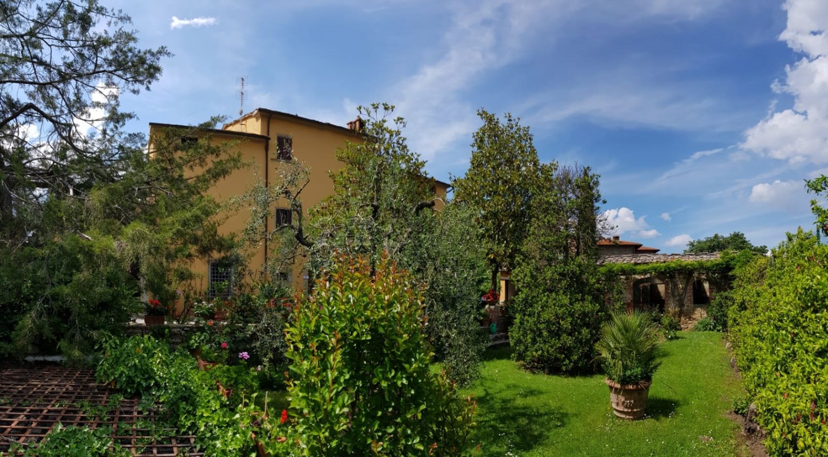 House in Monte San Savino - Image 4