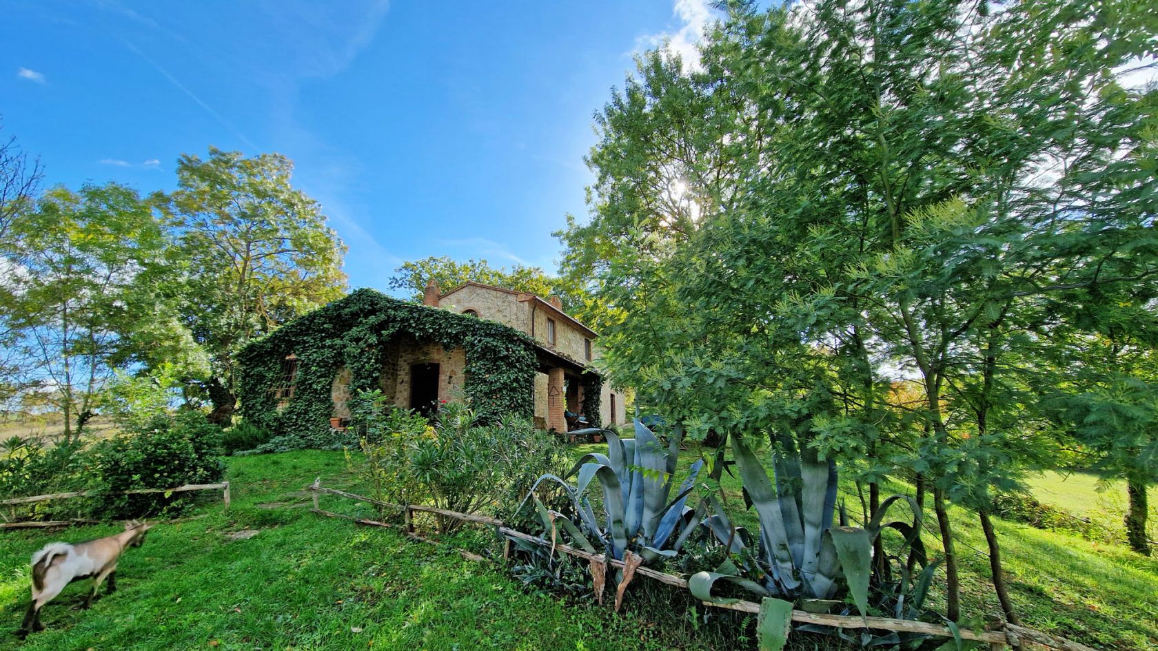 property_image