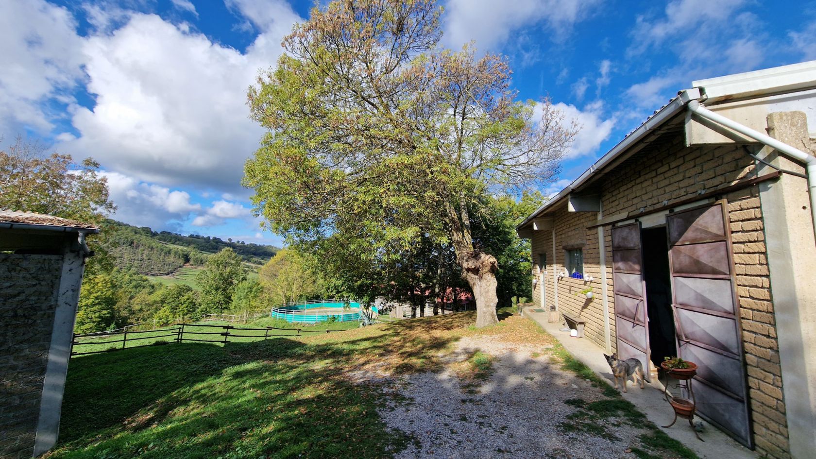 property_image