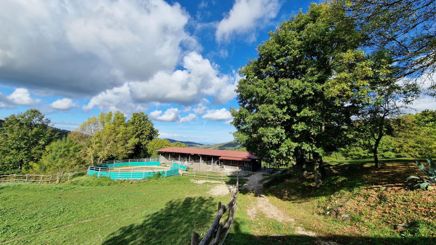 property_image