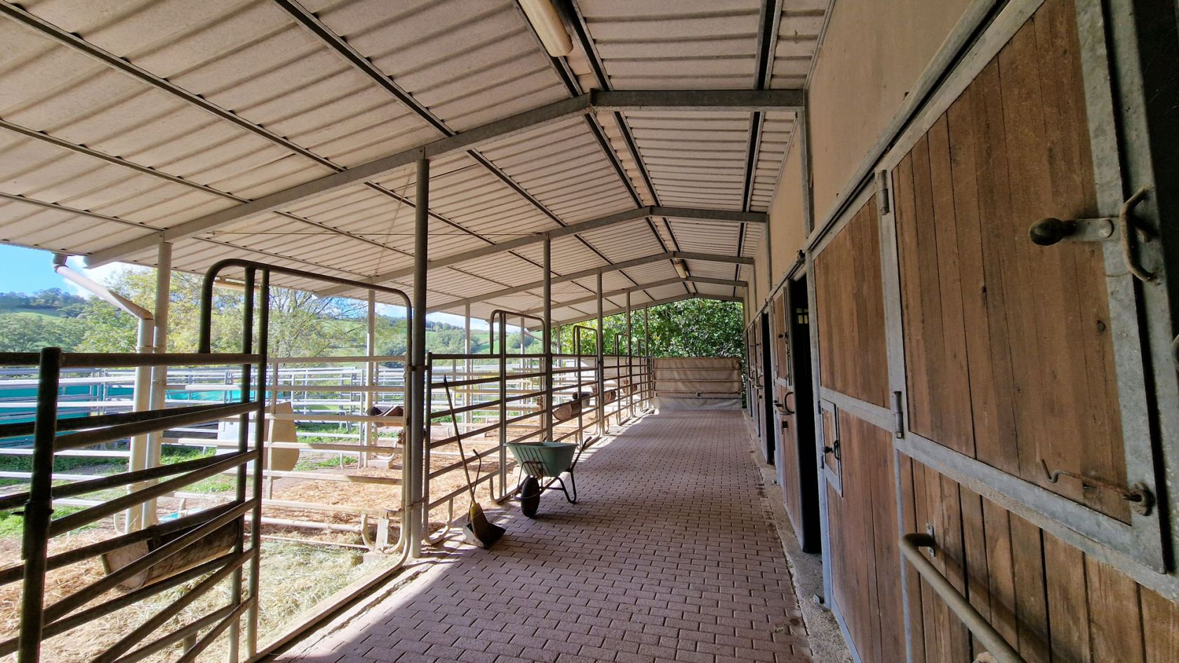 property_image