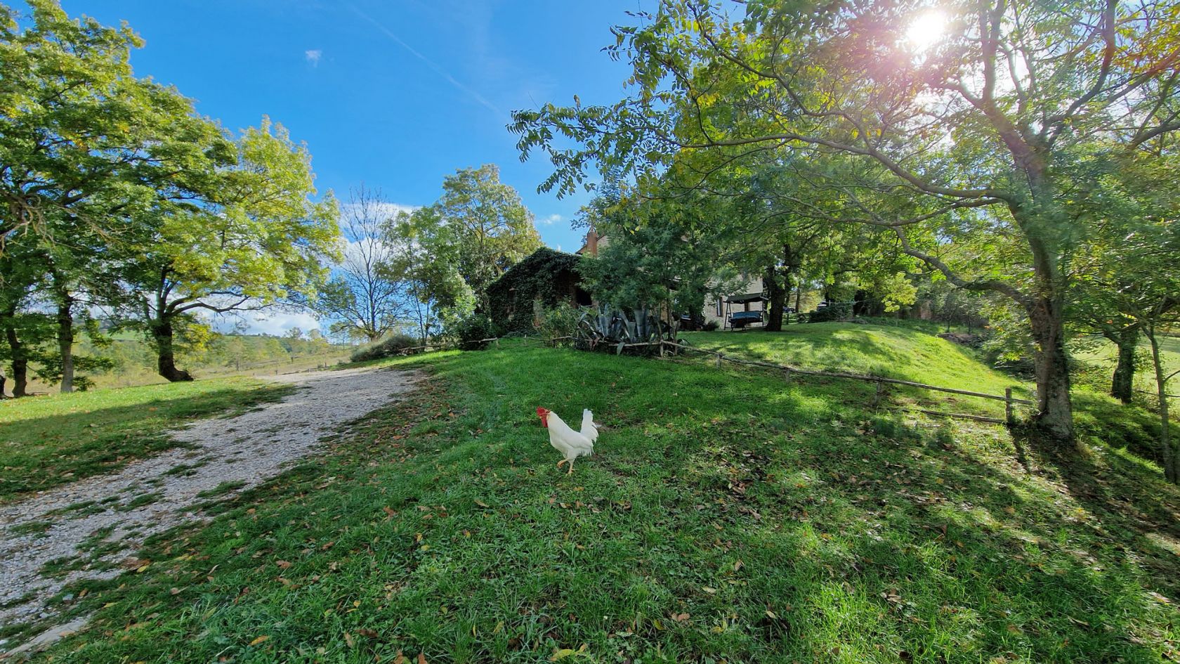 property_image