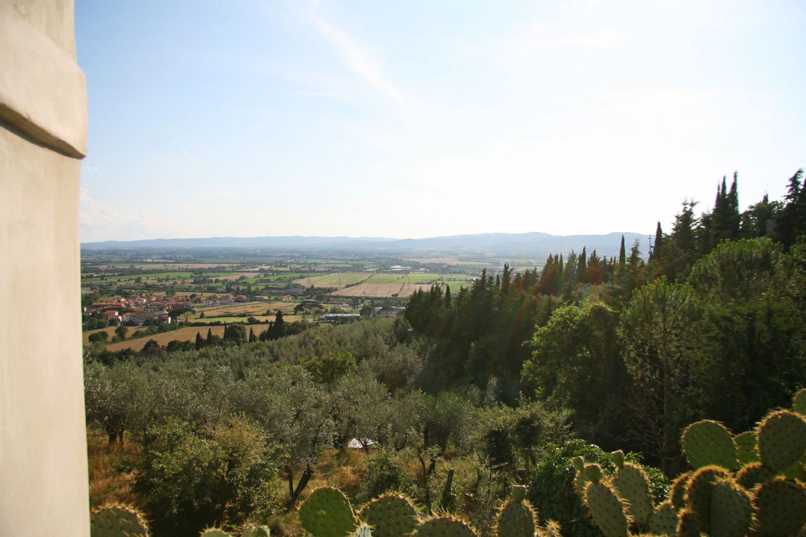 property_image