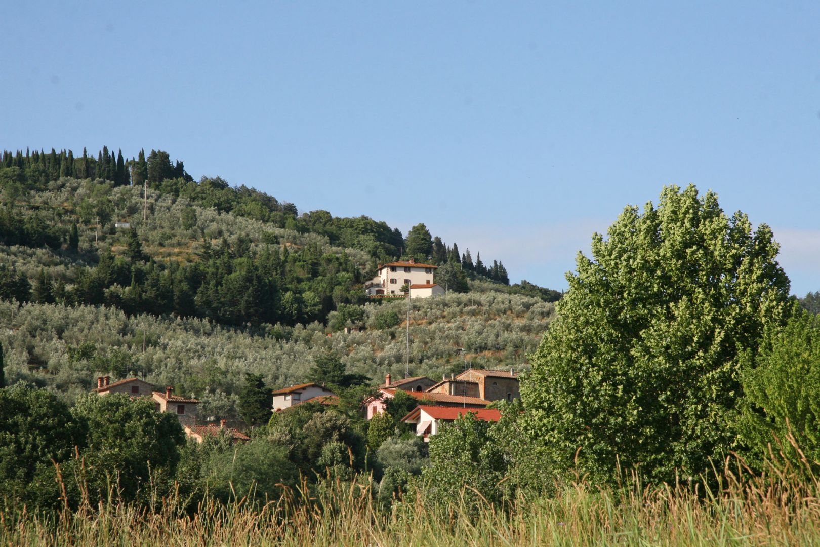 property_image