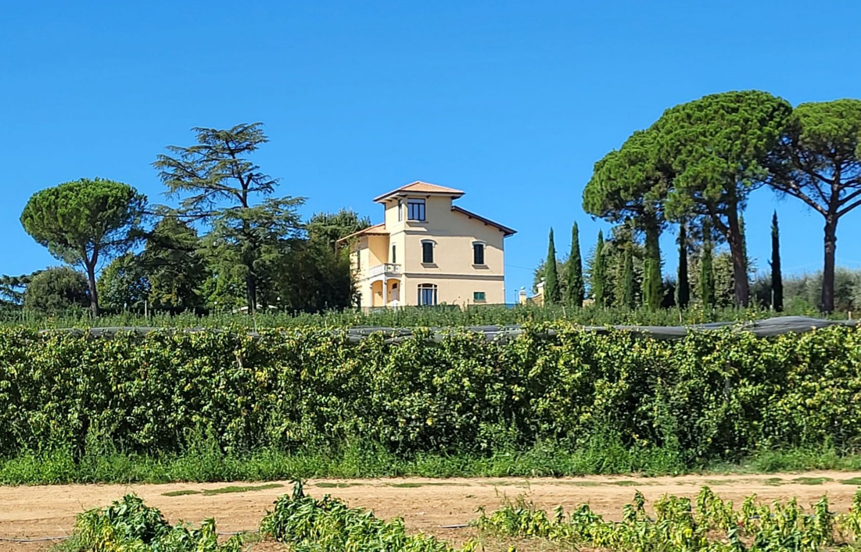 property_image