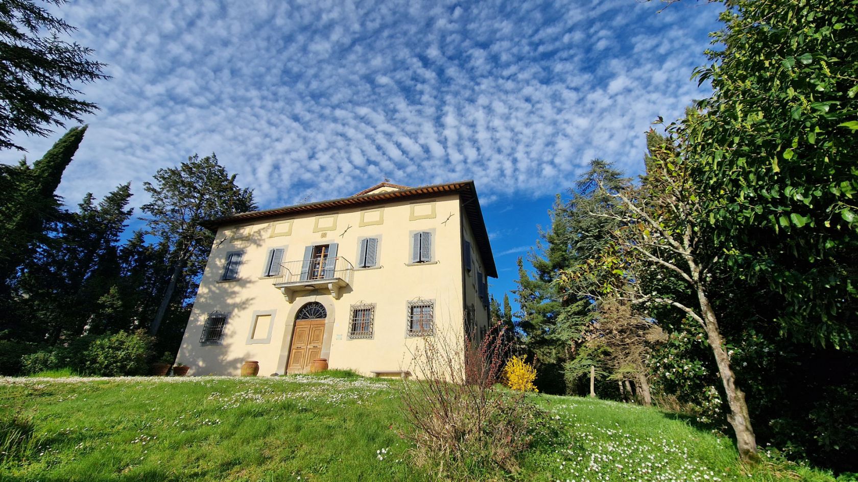 property_image