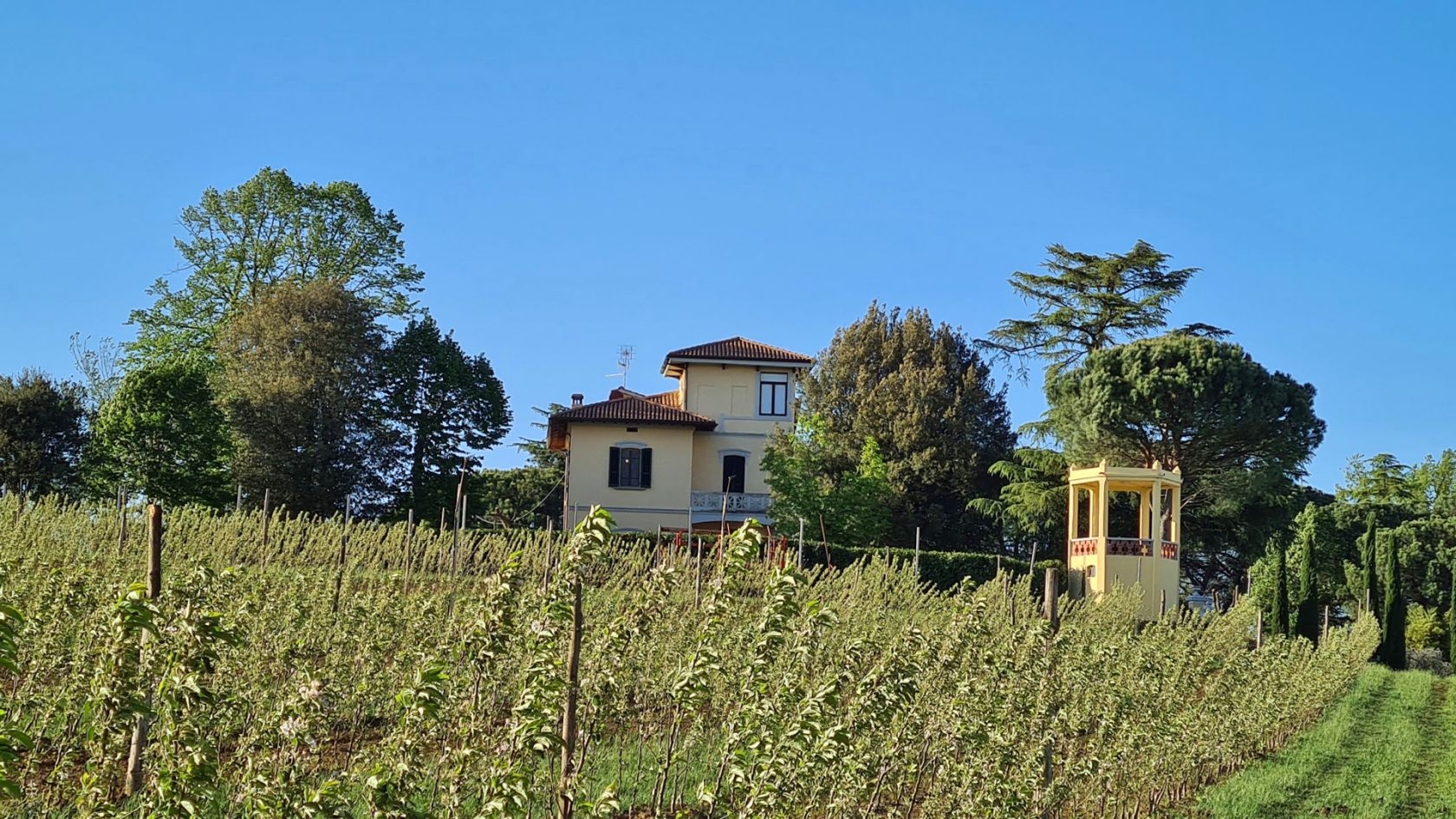 property_image