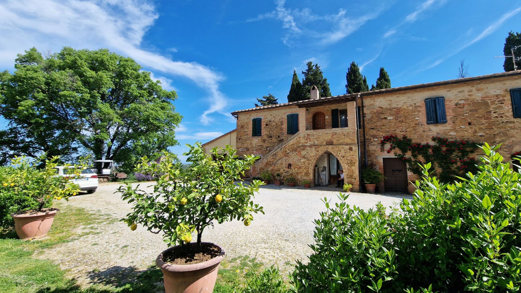 House in Montalcino - Image 4
