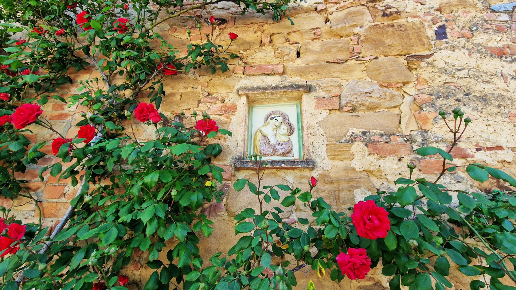 property_image