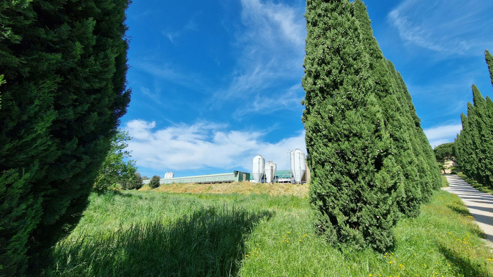 property_image