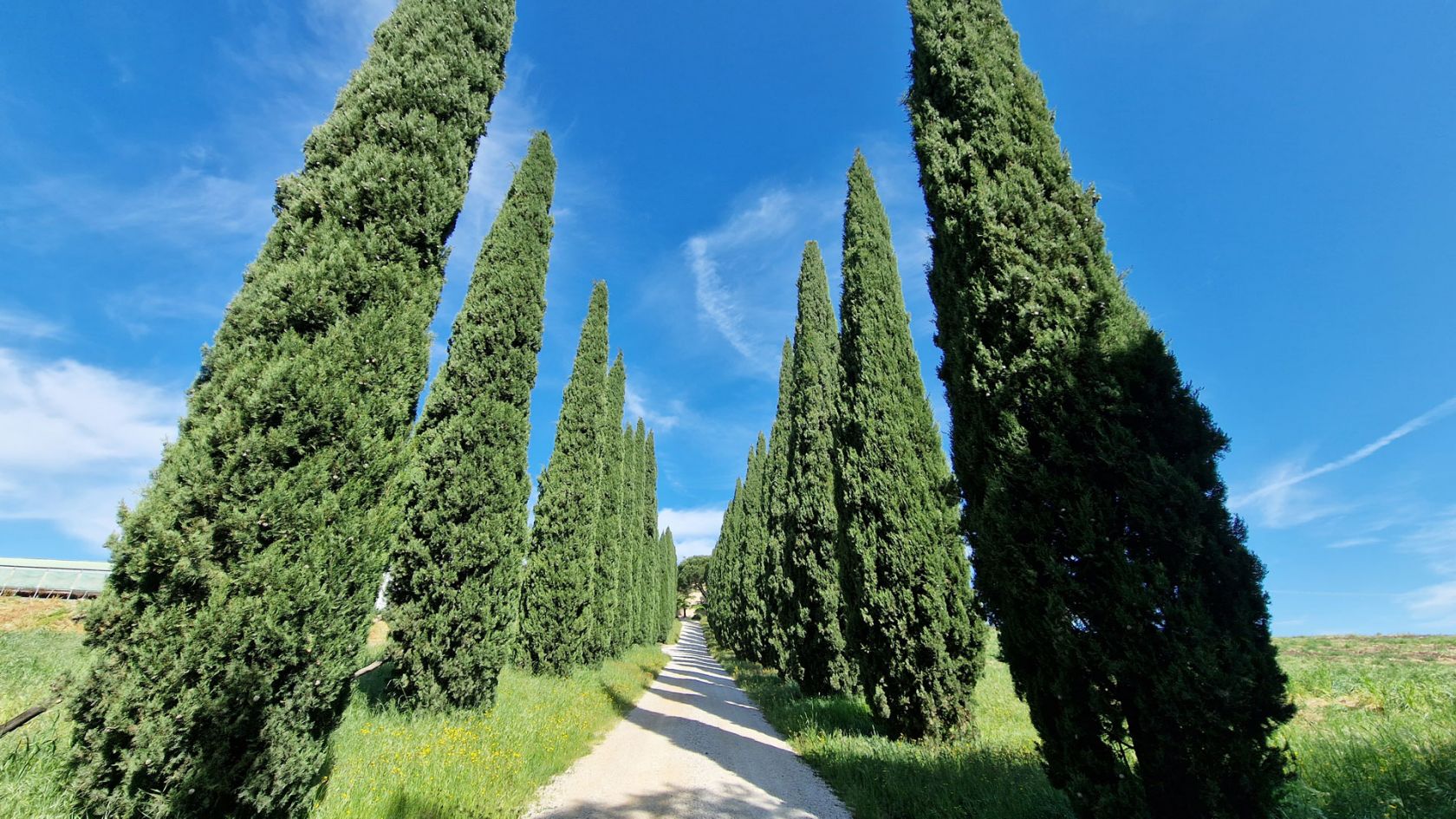 House in Montalcino - Image 3