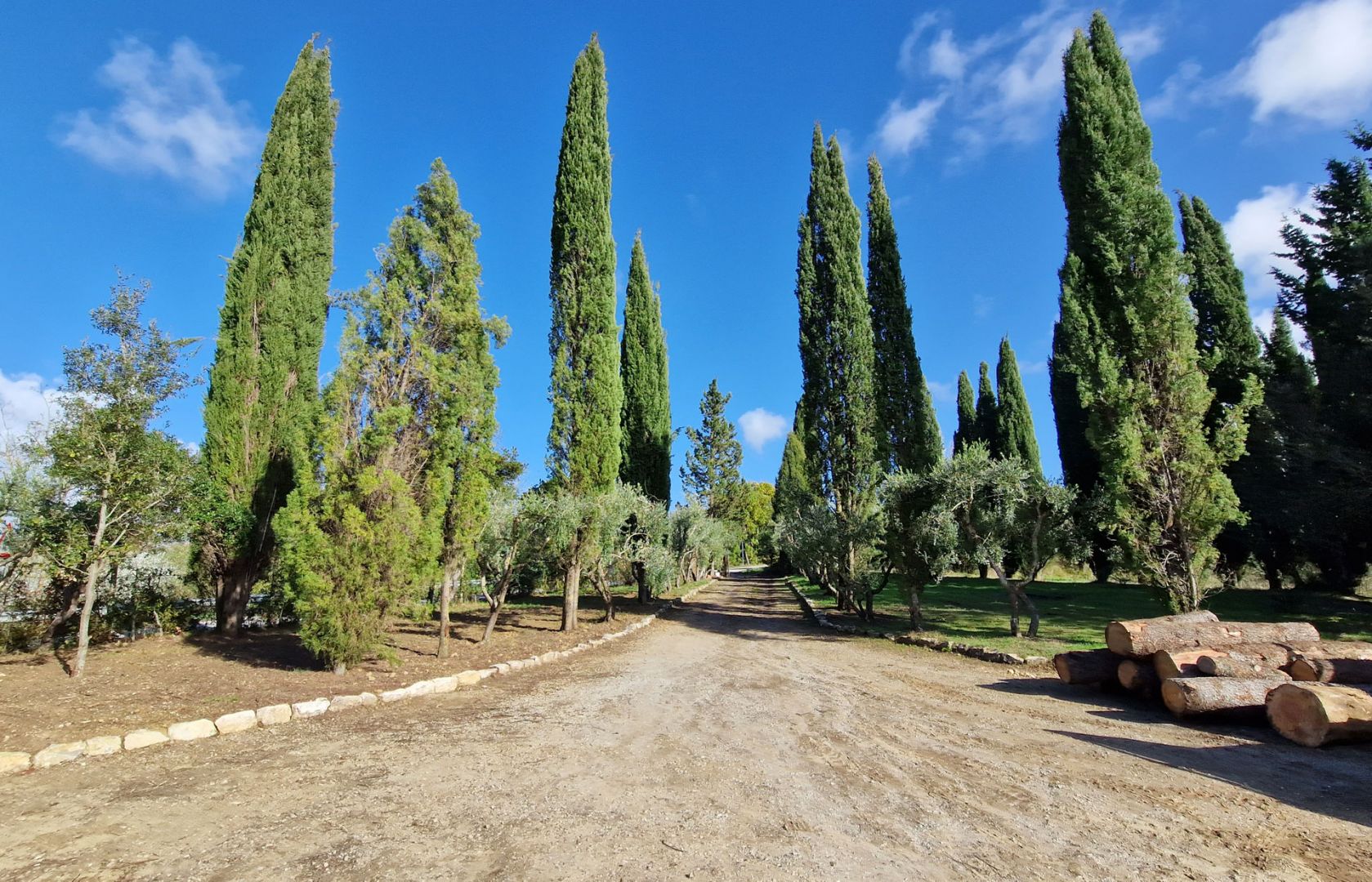 House in Asciano - Image 3