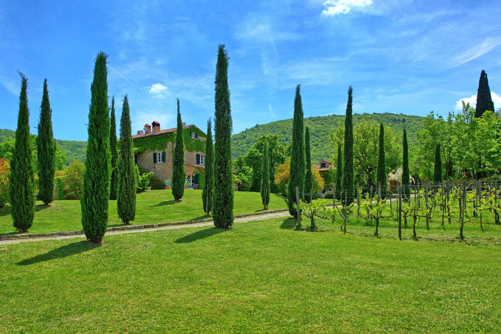 property_image