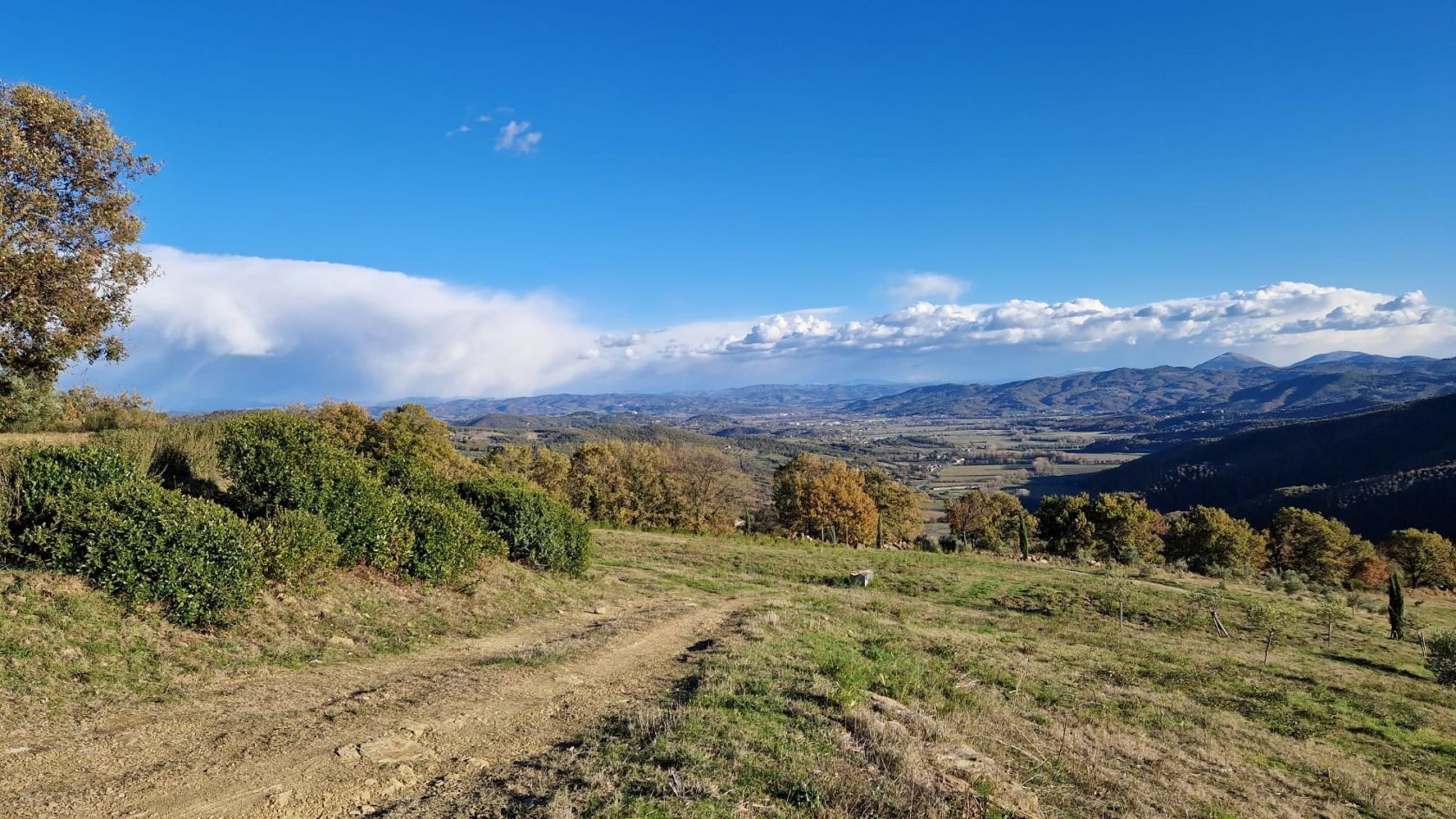 House in Citta di Castello - Image 3