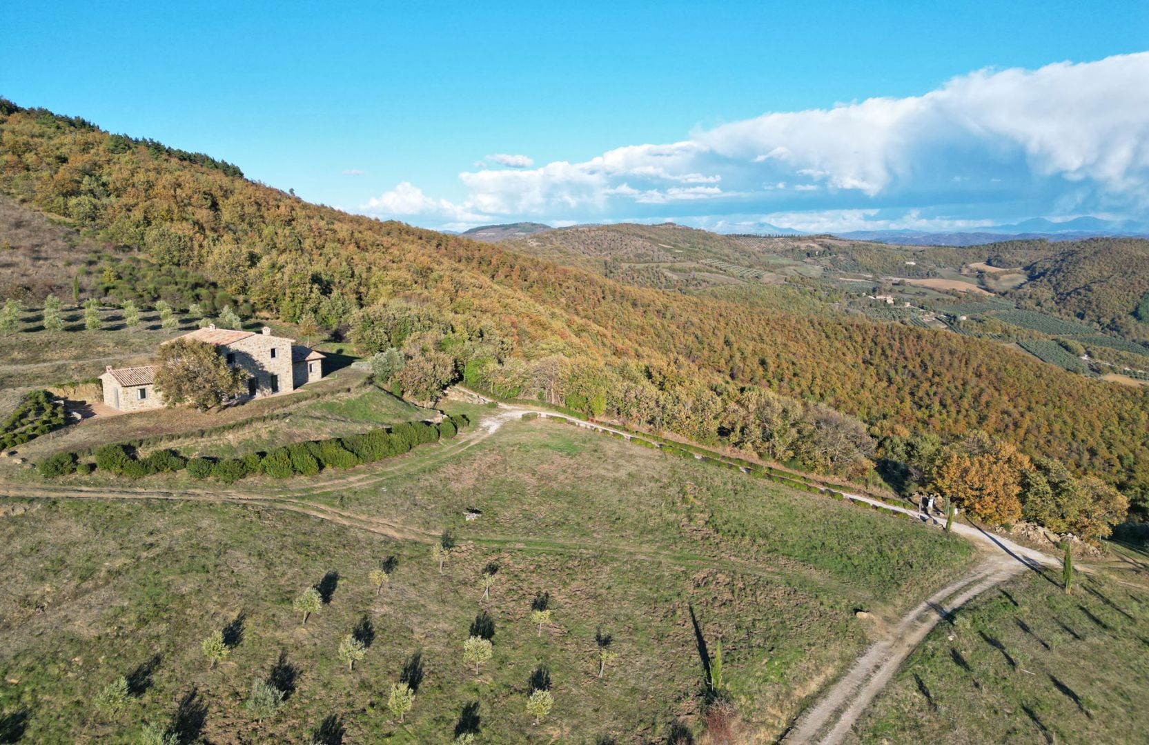 property_image