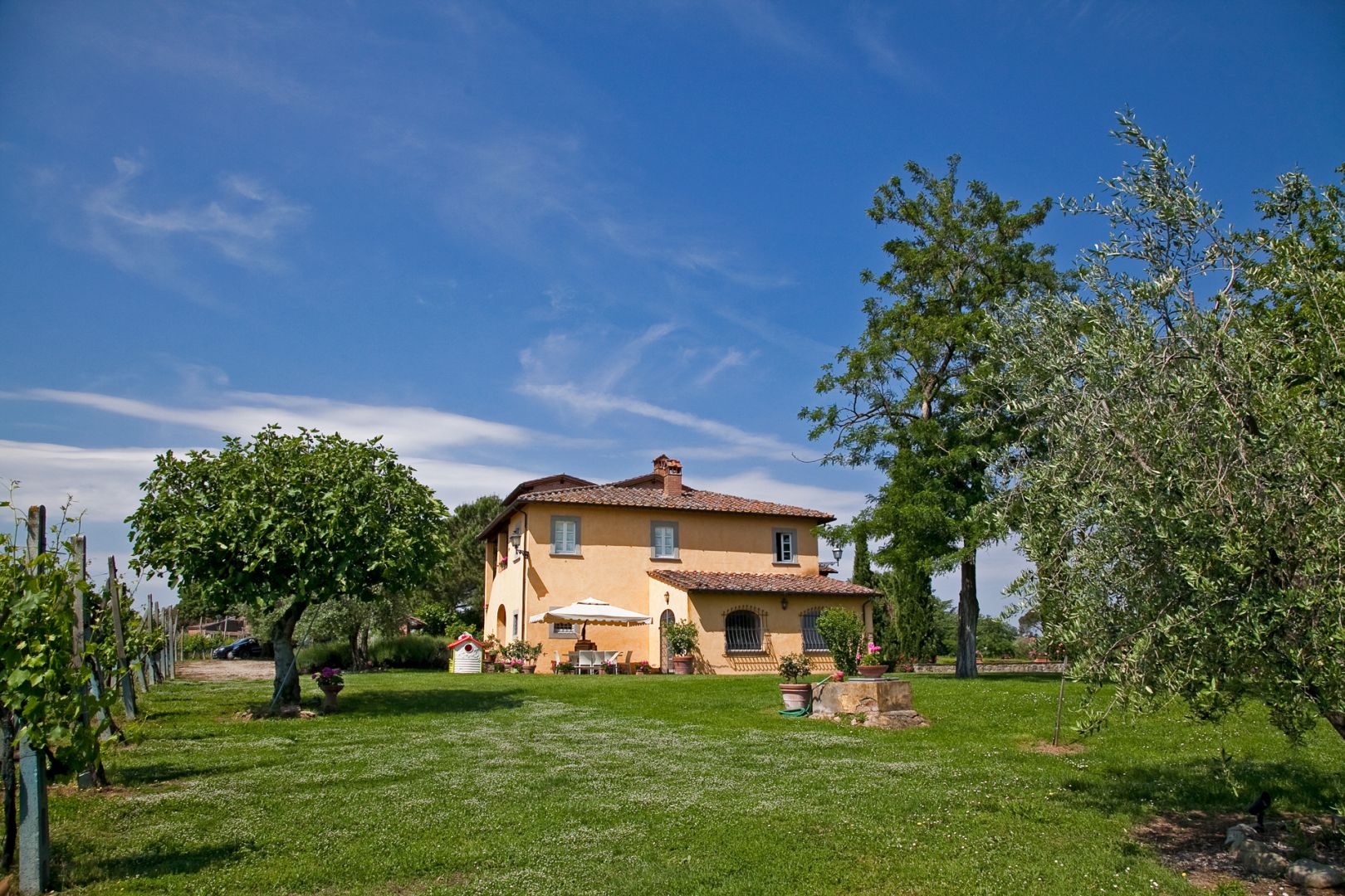 property_image