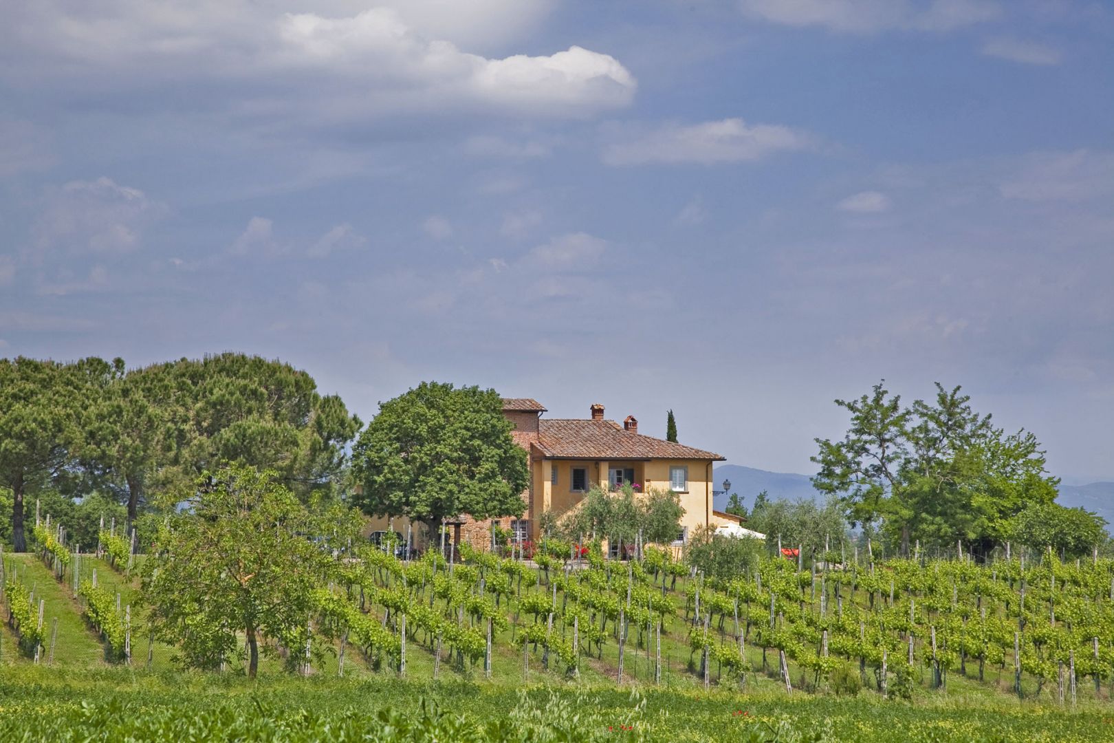 House in Monte San Savino - Image 4