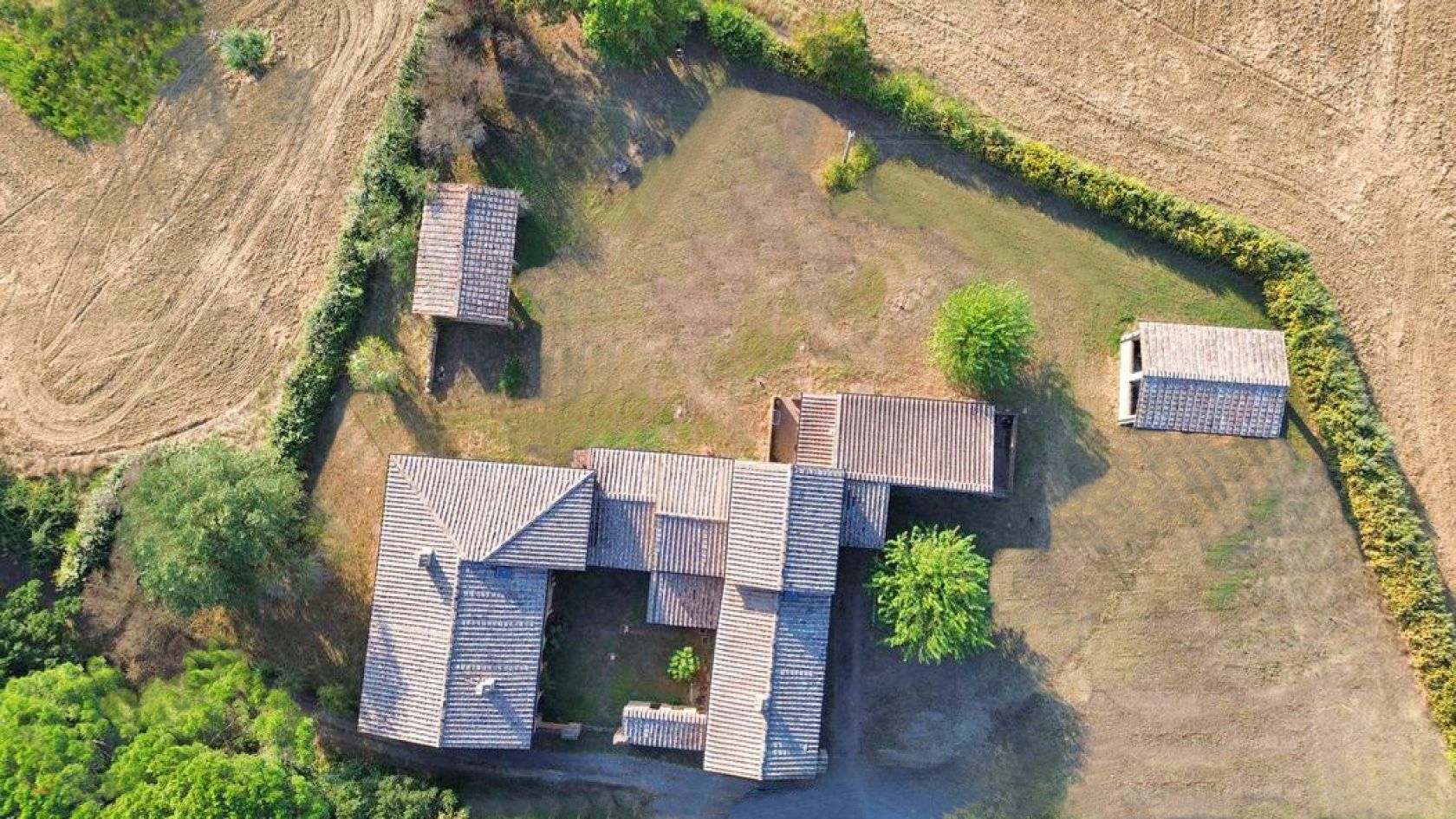 House in Buonconvento - Image 4