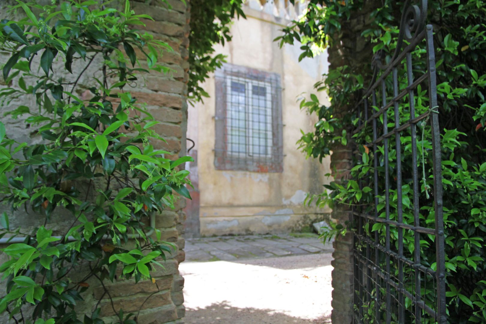 property_image