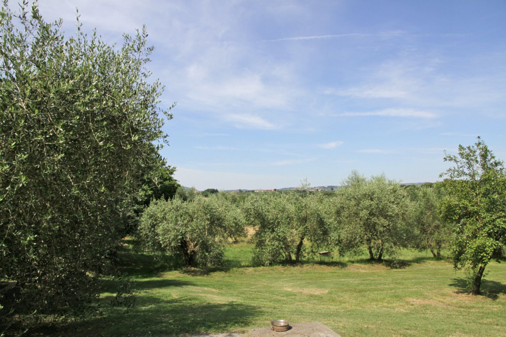 property_image