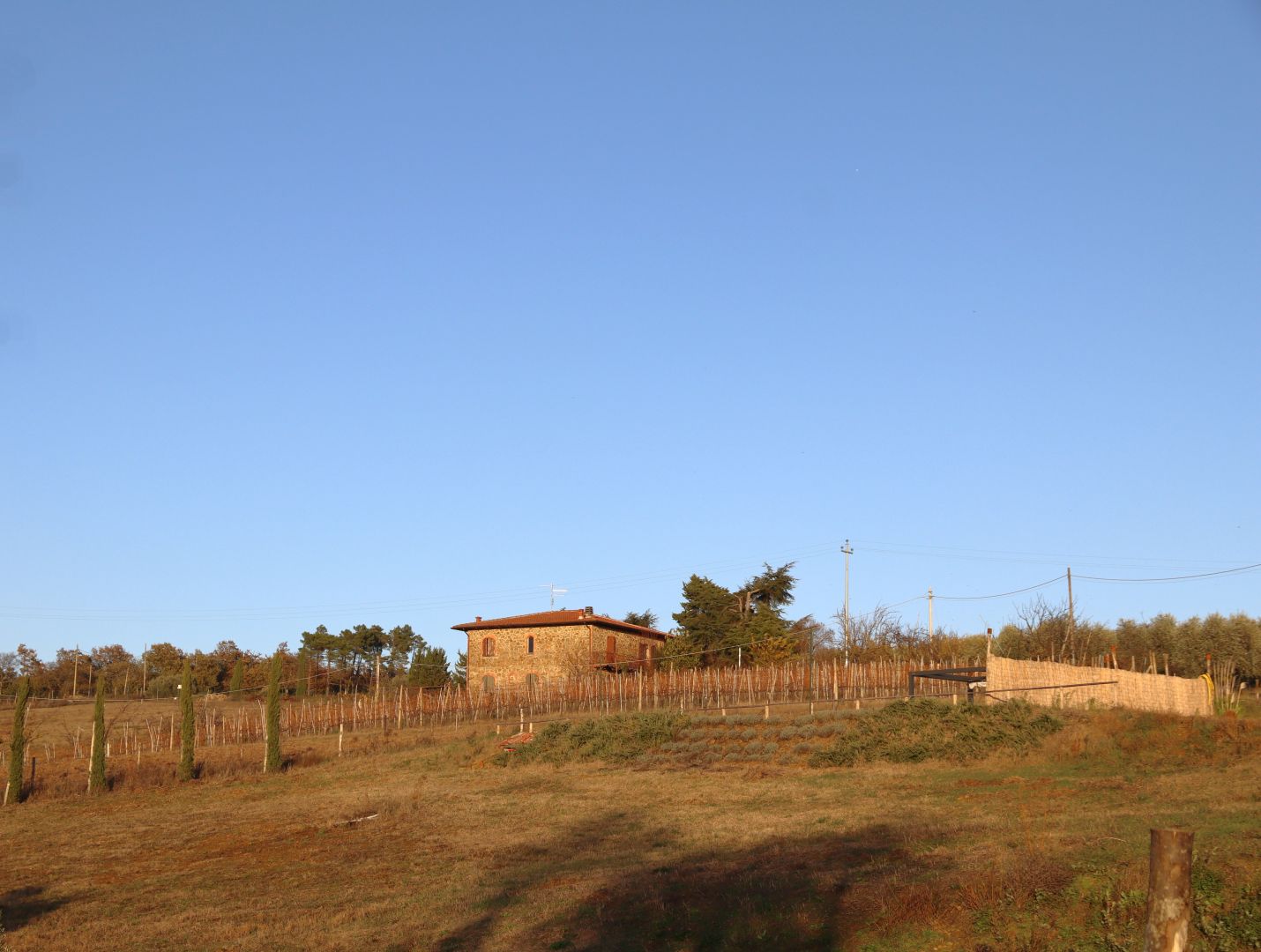 property_image