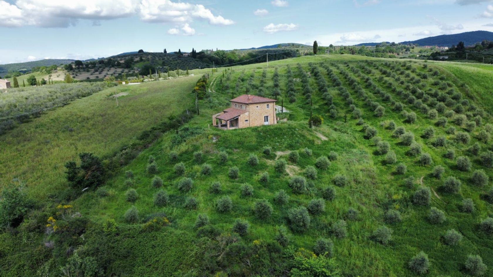House in Montalcino - Image 3