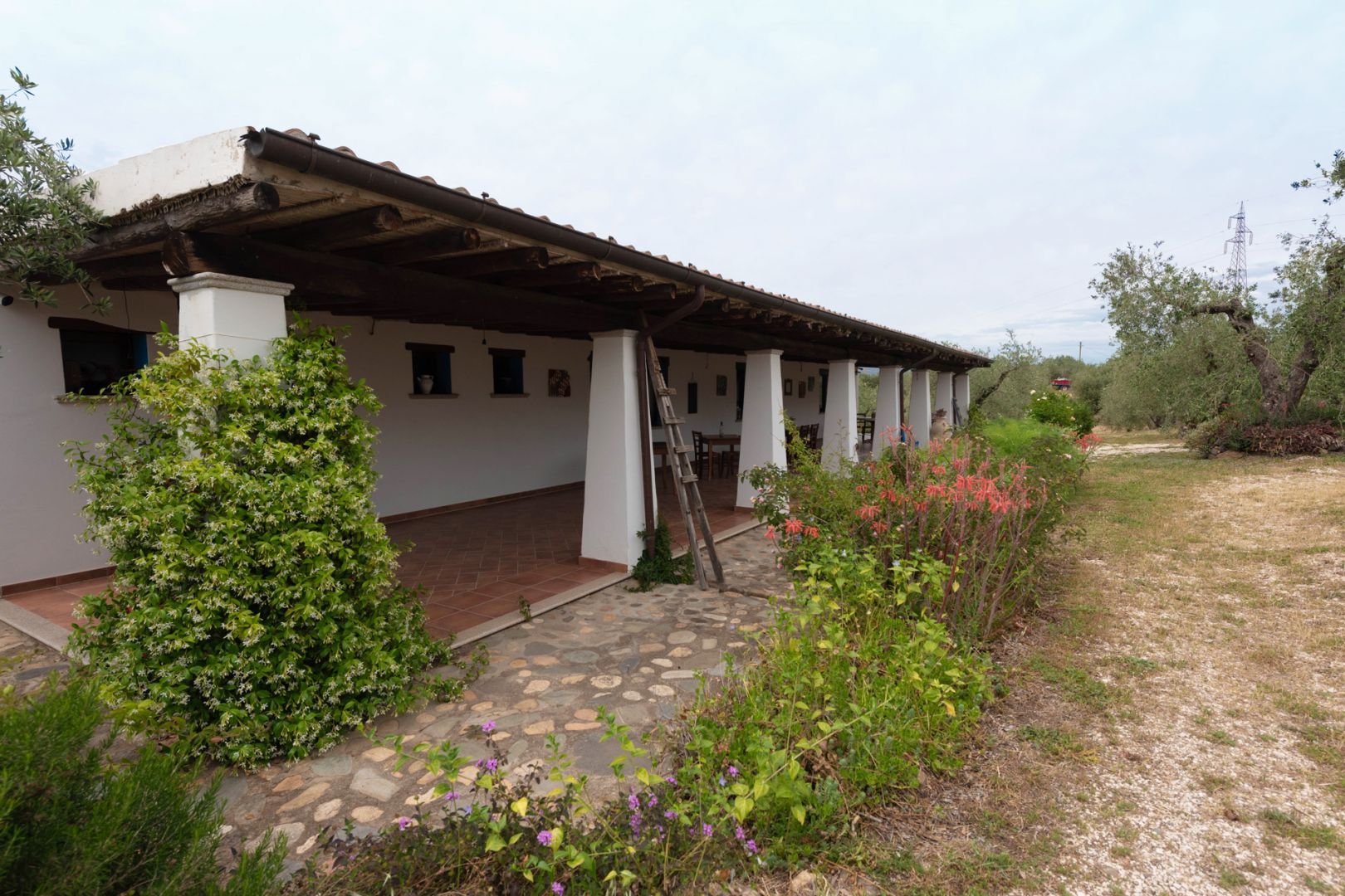 property_image