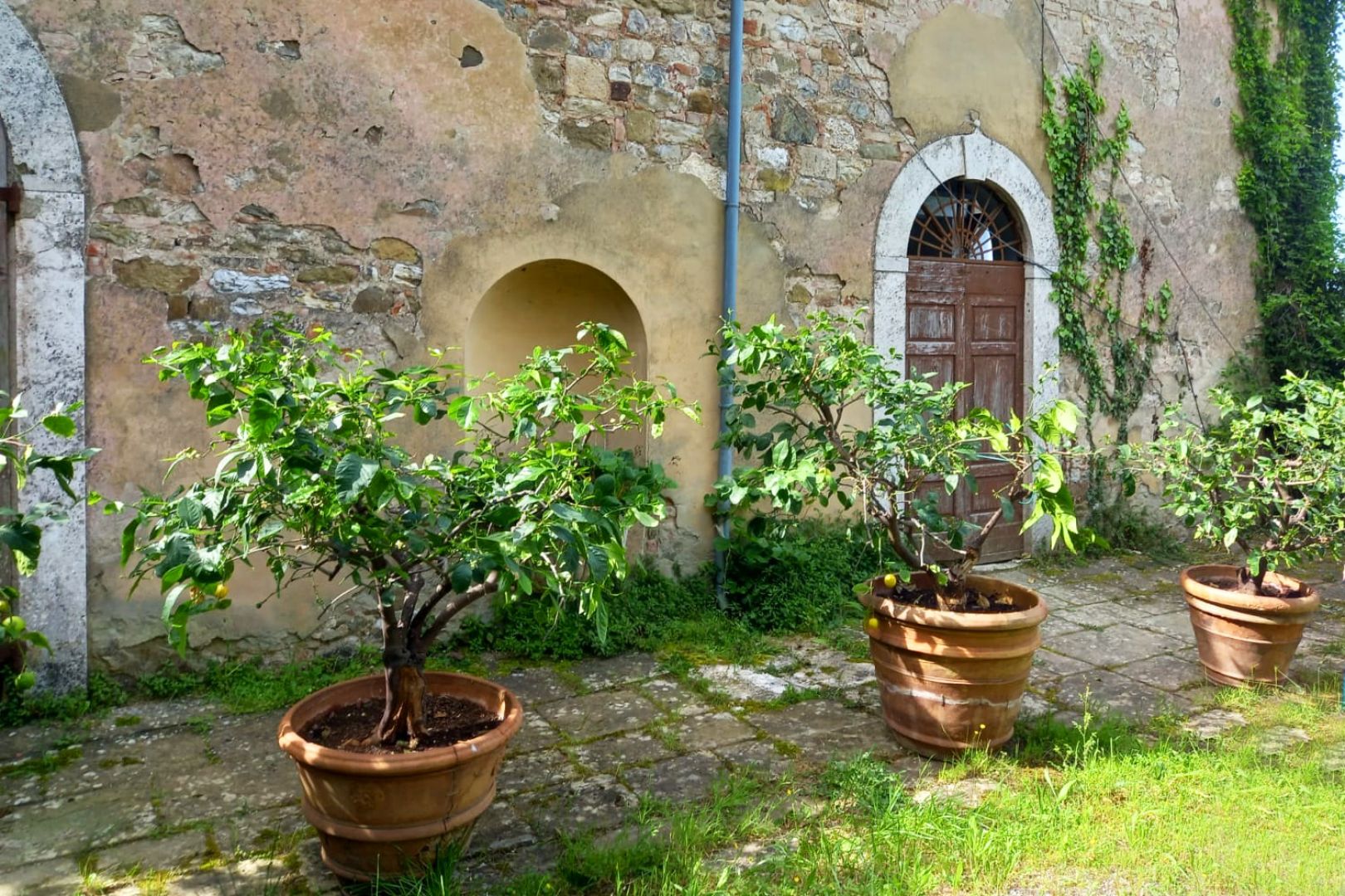 property_image