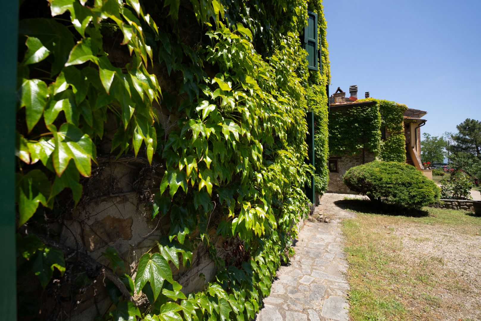 property_image
