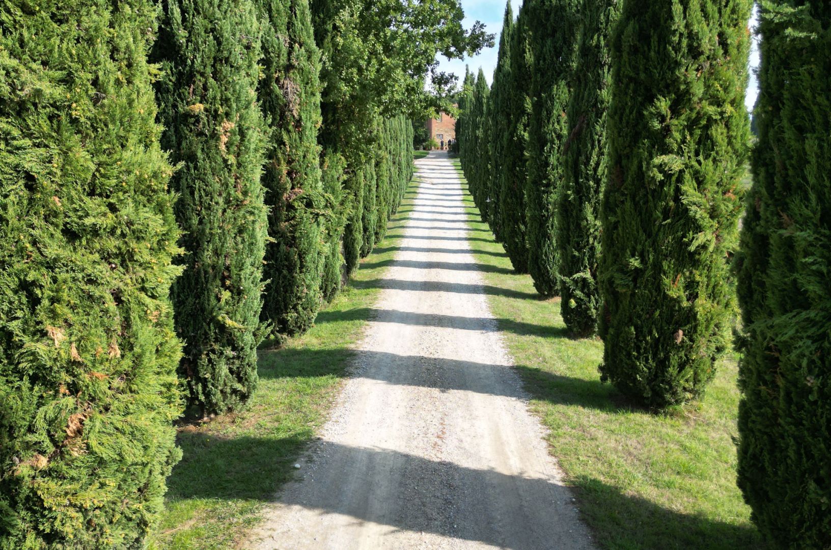 House in Foiano della Chiana - Image 4