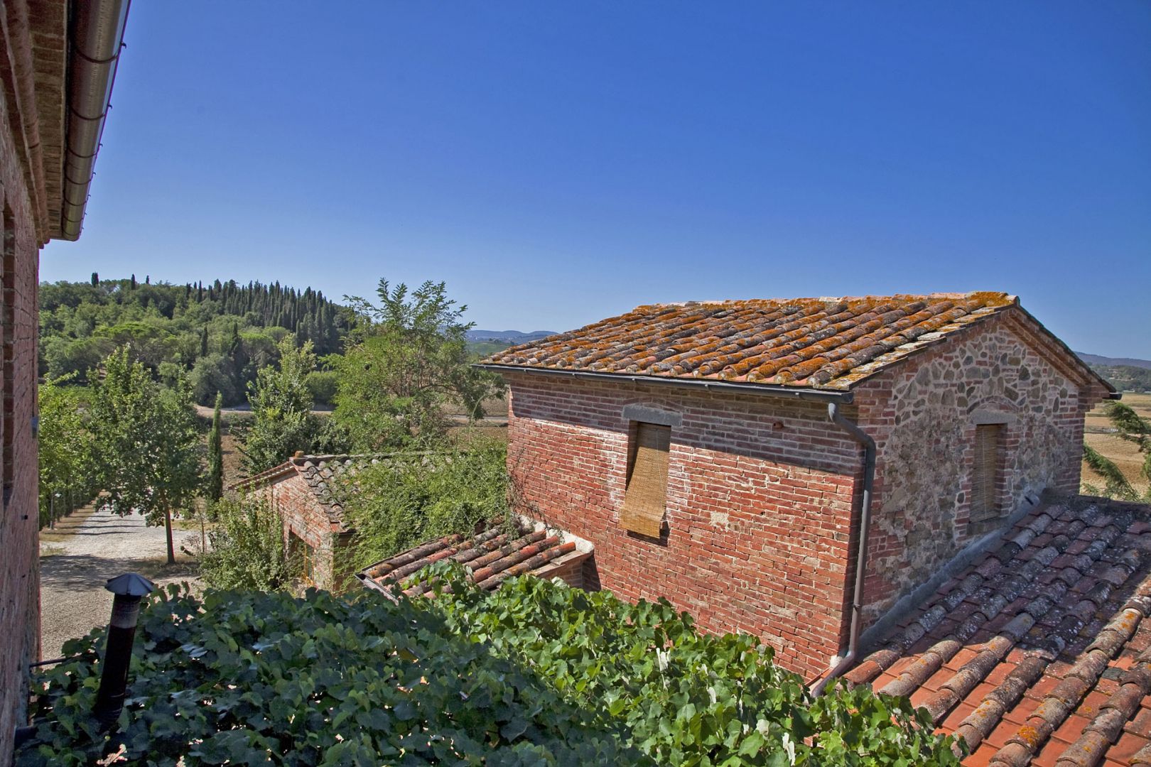 property_image